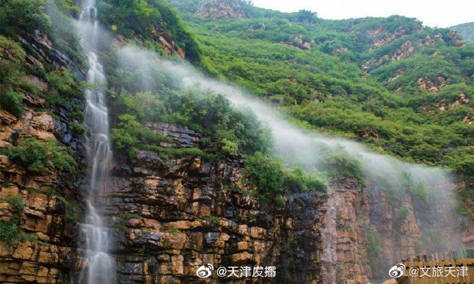 什么兔子好养活？
